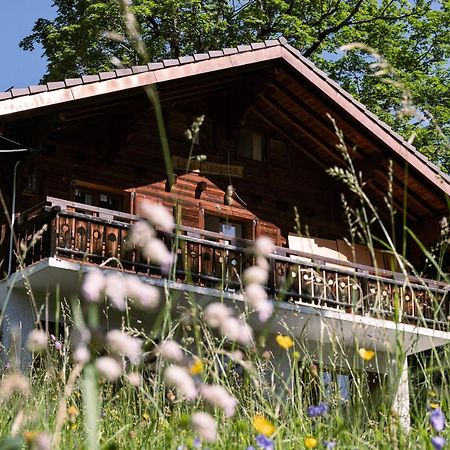 Le Wafo Hotel Gryon Bagian luar foto