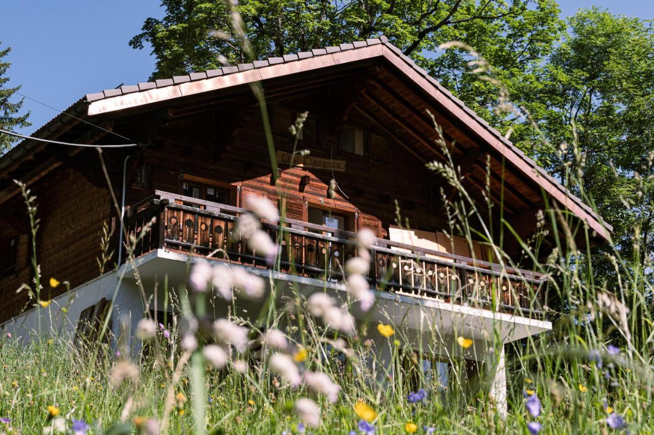Le Wafo Hotel Gryon Bagian luar foto